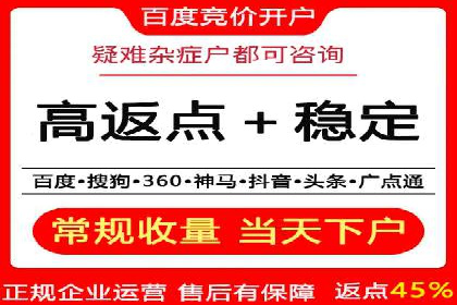百度SEM广告投放的创意与执行：成功案例详解